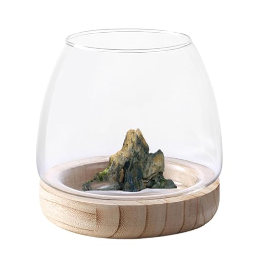 Glass Fish Bowl with Wooden Base, Transparent Small Aquarium Desktop Tank Vase Plant Terrarium Vase Home Decor, Multipurpose Aquarium Bowl for Betta Fish Goldf-ish - size: Diameter - 15cm