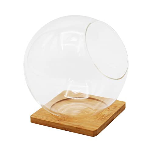 Plant Terrarium Display Glass with Bamboo mat, Tabletop Succulent Air Plant Planter Globe, Mini Terrarium Garden, Round Beveled Glass vase, Micro Landscape eco vase,for Succulents, Air Plants, Moss
