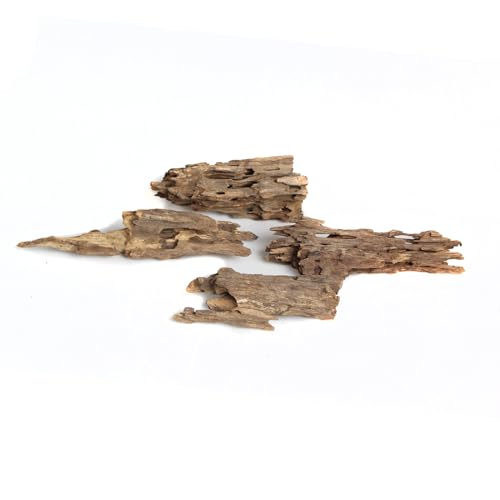 emours Driftwood Branches Reptiles Aquarium Decoration Assorted Size,(5.5-8 inch in Length),4 Pieces (Shrimp Wood)