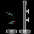3 Pcs Shrimp Feeding Tube and Dish Set Clear Crystal Glass Shrimp Feeder Tube Tray Aquarium Feeder Tube Shrimp Feeding Dish Bowl Suction Cups for Fish Tank Aquarium Feeding Supplies Tools