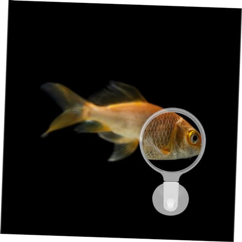 Aquarium Glass Cup Multifunctional Viewer for Small Fish Plants and -Landscapes for Detailed Observation Fish Tanks