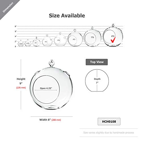 WGV Hanging Terrarium Globe, Width 8", Height 9", DIY Air Succulent Planter, Clear Glass Vase Orb with Flat Bottom, Candle Holder for Windowsill Outdoor Garden Decor, 6 Pieces Bulk - size: 8" Flat Bottom