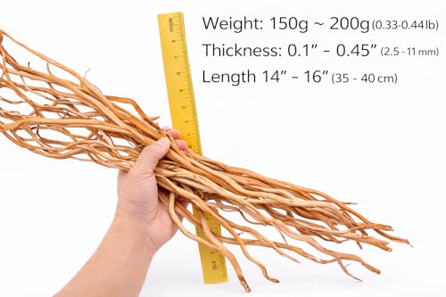 Azil Natural Aquarium Driftwood Root – Driftwood for Aquarium Decor, 170g~0.38lb (14″–16″), Fish Tanks, Terrariums, Aquascaping & Planted Tanks - size: Root mix 14 - 16 inch