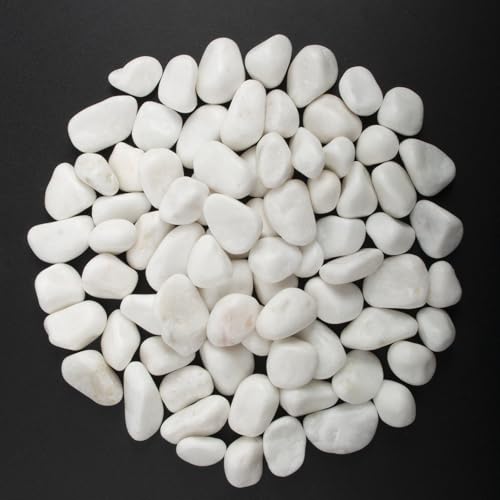 40 lbs White Polished Landscape Stones, 0.5-1 Inch Decorative Rocks for Gardens, Pathways, Pots, Vase Fillers, Aquarium Decoration, Glass Containers, and Yard Borde (Pure White, Weight: 40 LB) - color: Pure White, size: Weight: 40 LB