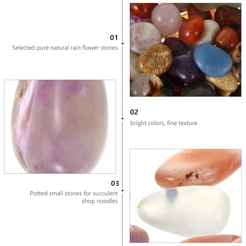 Pack Polished River Rocks Gravel for Aquarium Succulents Bonsai Planters Outdoor Landscaping Decorative Natural Pebbles for Walkways Fountains and Crafts