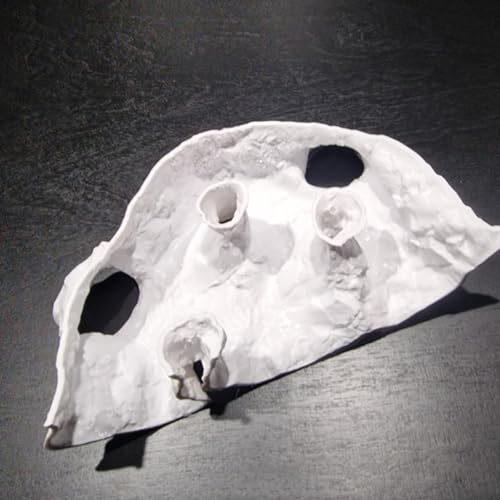 Natural Textured Shrimp Cave Ornament with Observation Holes, Safe Hideaway for Territorial Fish Species Fish Hiding House