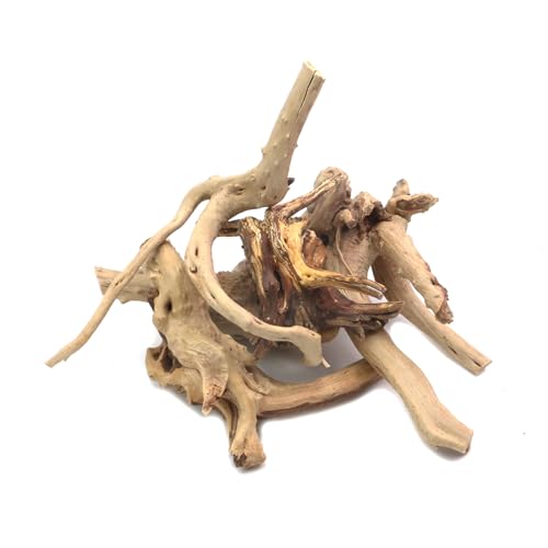 5Pcs Natural Cuckoo Wood for Aquarium, Aquarium Decor Wood Freshwater Fish Tank Reptile Driftwood Branch Length 3.93" to 5.9" - color: Natural Cuckoo Wood