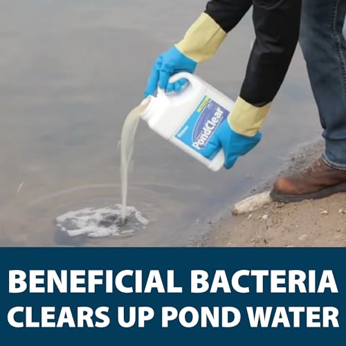 Airmax PondClear Liquid Bacteria for Lakes, Ponds & Water Garden Treatments, Natural Bio Clarifier & Cleaner for Crystal Clear Water, Remove Nutrients & Noxious Odor, Fish, Pet & Plant Safe, 1 Gallon - size: 128 Fluid Ounces