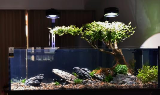 Seiryu Stone Natural Stone Rocks Fish Tank Decor Rocks for Aquariums Landscaping Model Tank Decoration Aquarium Miniature -20lb (2-8 inch) - size: 20Lb (2-8 inch)