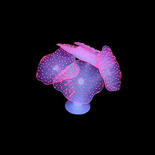4 Pack Glow Aquarium Decorations Coral Reef Glowing Mushroom Anemone Simulation Glow Plant Glowing Effect Silicone for Fish Tank Decorations - color: 4 Pcs(coral Reef+branch Coral+mushroom+anemone)