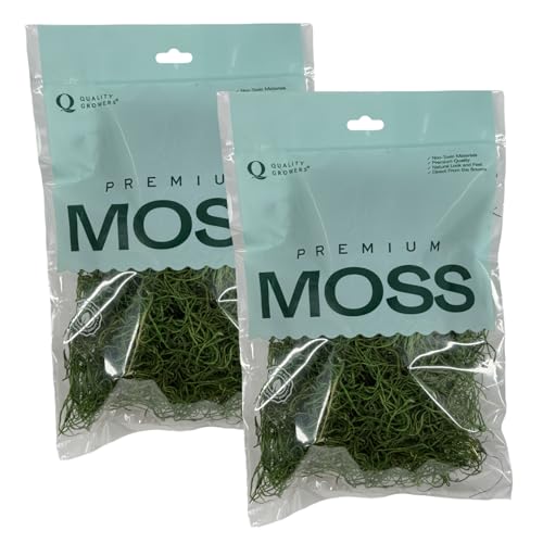 Preserved Spanish Moss - Premium Decorative Moss for Crafts, Home Décor, Art, Design & DIY Projects - Real Moss - Non-Toxic, USA-Made (Green Apple, Small, 2-Pack) - color: Green Apple, size: 2-Pack, Small