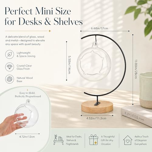4.7" Hanging Glass Terrarium Globe with Stand for Air Plants Succulents & Desktop Decor, Small Floating Garden for Desks, Shelves, Windowsills, Offices, and Plant Lover