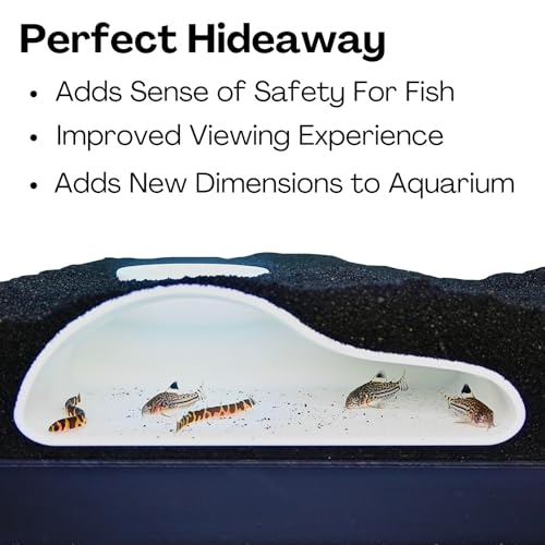 Aquarium Underground Tunnel Cave Natural Curve | Viewing Fish & Shrimp Under Gravel Tunnel | Fish Tank Decor Decoration Hideout Perfect for Corydora Catfish, Kuhli Loach, Clown Loach, Pleco (White) - color: White