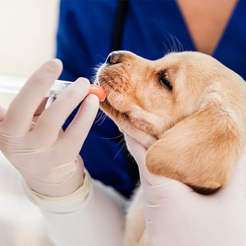 Baby Bird Feeding Syringe Set, Pet Parrot Milk Feeding Syringe with Tubes, Parrot Feeding Tubes Measuring Tools for Feeding Pets Scientific Industrial Labs… (5 pcs 3ml) - color: 5 pcs 3ml