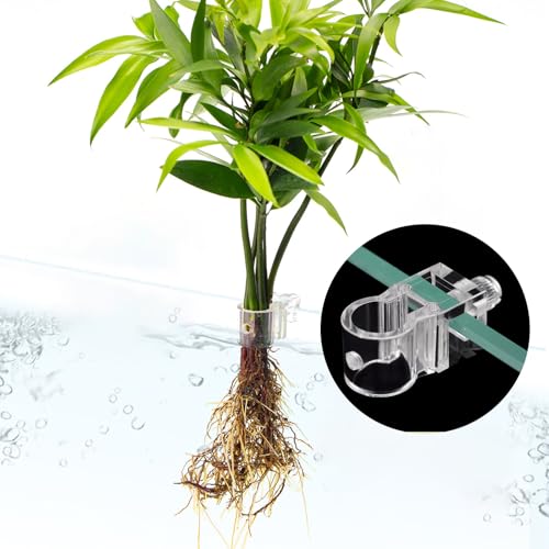 6 PCS Clear Aquarium Plant Holder, Reusable Top Hanging Fish Tank Planter, Small Transparent Plant Clips for Fish Tank Aquarium Landscaping and Decoration