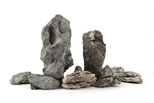 LANDEN Seiryu Stones Natural Rocks (17lbs, 3~11 inches,7-8pcs) for Aquarium, Paludarium, Terrariums, Landscaping Rocks, Aquascaping - size: 06 Seiryu Stones(3-11inch,17lbs)