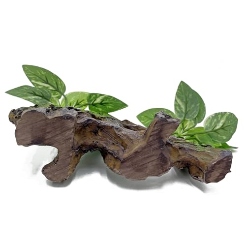Fish Tank Decor Aquarium Betta Fish Tank Cave Decorations Aquarium Decoration Ornaments Accessories Betta Leaf pad Hammock