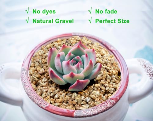 Boniosz 2lb Succulent and Cactus Maifanitum Stones, Décor & Additive Rocks,DIY Rocks Gravel for Bonsai, Fairy Gardening, Vases Fillers, Terrarium - color: Maifanitum, size: 2lb
