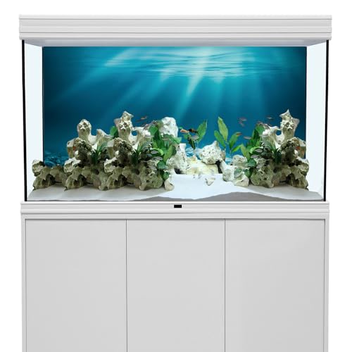 AWERT 30x12 inches Undersea Theme Aquarium Background Sunshine Underwater World Fish Tank Background Vinyl - size: 30x12in/75x30cm
