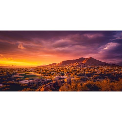 AWERT 36x24 inches Sun and Desert Terrarium Background Mountain Oasis Gobi Reptile Habitat Background Vinyl - size: 36x24in/90x60cm