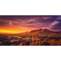 AWERT 48x18 inches Sun and Desert Terrarium Background Mountain Oasis Gobi Reptile Habitat Background Vinyl - size: 48x18in/120x45cm