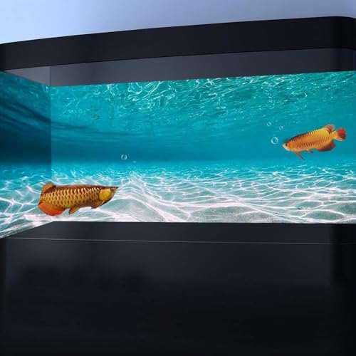60X24IN Natural Undersea Aquarium Background, Undersea Beach Fish Tank Background, with 8 EVA Double-Sided Tape - color: Sea, size: 60X24in/150X60cm