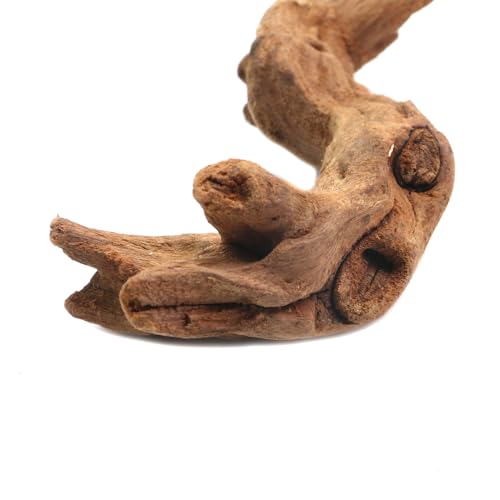 5Pcs Real Natural Driftwood for Aquarium, Aquarium Decor Wood Freshwater Fish Tank Reptile Driftwood Branch Length 3.93" to 5.9" - color: Natural Driftwood