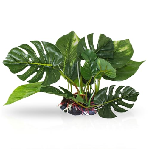 SunGrow 6" Realistic Aquarium Plant, Plastic Plant for Betta Fish Tank, Betta Tank Decoration, Hiding Spot, Small Aquarium Plant, Reptile Terrarium Enclosure Accessories, Amphibian Habitat Decor
