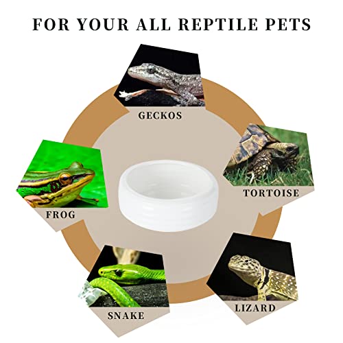 Reptile Food Bowls Ceramic Mini Round Reptile Water Food Dish, Pet Food Bowl for Lizards, Small Snakes, Young Bearded Dragons, Gecko Tortoise Spider (White, Small-2Pack)