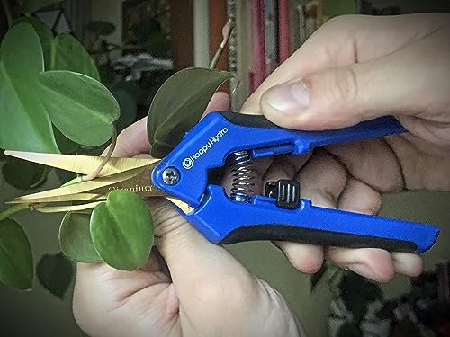 Happy Hydro Trimming Scissors - Curved Tip - Titanium Coated Blades with Spring-Loaded Comfort Grip Handles - 2 Pack