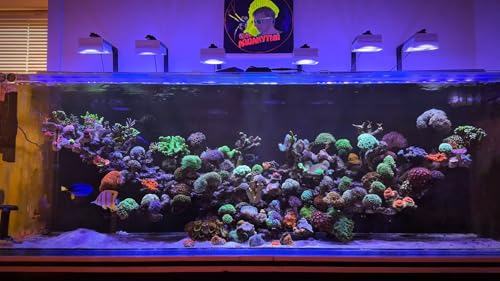 NEW PopBloom 3xRL115 WiFi & APP Programmable LED Reef Aquarium Light 360W for 60" 72" Marine SPS LPS Corals & Saltwater Tanks (RL115 with Arm Kitx3) - color: RL115 with Arm Kitx3