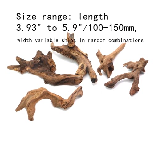 5Pcs Real Natural Driftwood for Aquarium, Aquarium Decor Wood Freshwater Fish Tank Reptile Driftwood Branch Length 3.93" to 5.9" - color: Natural Driftwood
