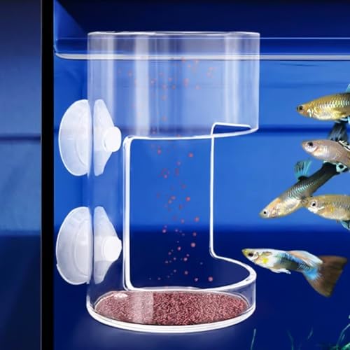 2 Pack PS Plastic Fish Feeders, Tank Feeding Tray with Suction Cup, Artemia Clear Floating Fish Tank Dish Tray, Tank Divider Supplies