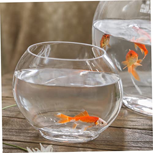Transparent Fish Tank Desktop Aquarium Delicate Shape for Home Office Decor Space-Saving Design for Betta Fish - size: 19.5X16cm