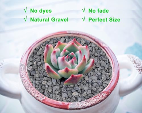 Boniosz 2lb Black Horticultural Lava Rock Soil Additive for Cacti, Vase Fillers, Succulents and Terrarium Plants - No Dyes or Chemicals - 100% Pure Volcanic Rock - color: Black Lava Rocks, size: 2lb