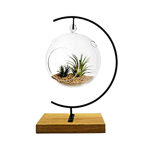 YY YEARCHY Ornament Display Stand Metal Stand Terrarium Air Plant Stand Flower Pot Holder Iron Pothook Stand for Hanging Glass Globe Ball (G rectangle wood) - color: Black, size: 11"x6.3"x3.1"