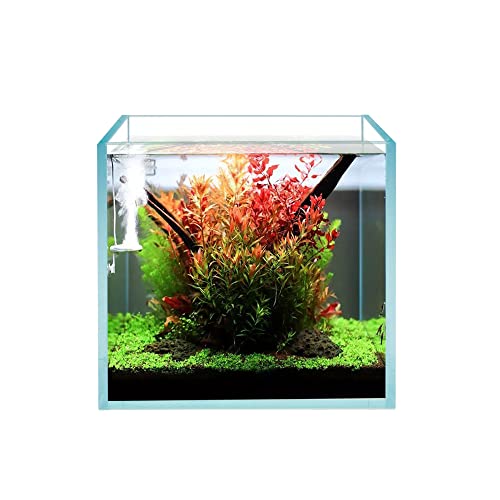 Cube Rimless Frameless Extra Clear All Glass Aquarium, 5mm Low Iron Glass, White Leveling Mat Included, w/Lids Options, Perfect for Fish & Shrimps - size: 4 GAL 9.8x9.8x9.8 in