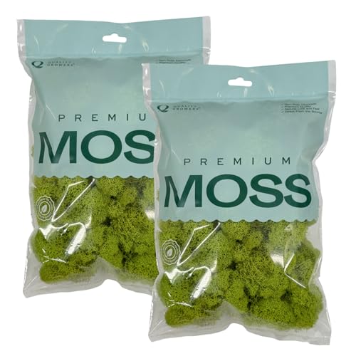 Quality Growers - Preserved Reindeer Moss - Moss for Crafts, Home Decor, Art, Design & DIY Projects - Non-Toxic - USA Made (Chartreuse, Medium, 2-Pack) - color: Chartreuse, size: Medium (2-Pack)