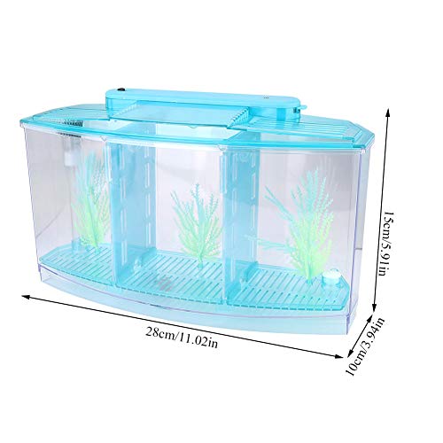 Small Fish Tank With Filter, Aquarium Fish LED Acrylic Three Divisions Breeding Isolation Box for Small Fishes Aquarium Fish (Blue) - color: Blue