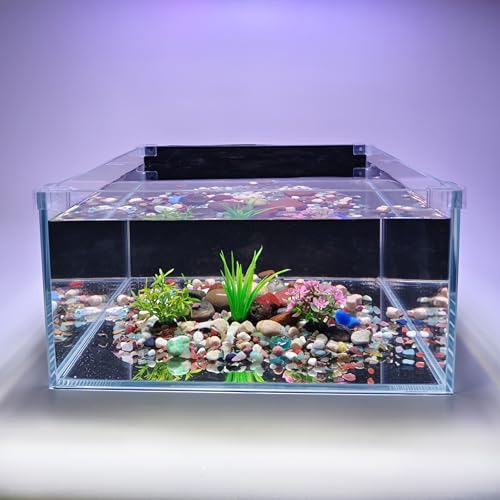 3.5 Gallon Fish Tank 30 * 30 * 15CM- Low Iron Glass Aquarium with Non-Slip Mat, Background Paper & Corner Protectors | Betta, Turtle, Shrimp Habitat Kit | Beginner Friendly Small Aquarium - size: 30*30*15CM