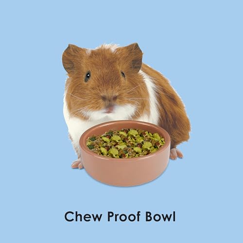 Kaytee Stoneware Ceramic Pet Hamster Bowl, Brown, 3-Inch - size: 3 in