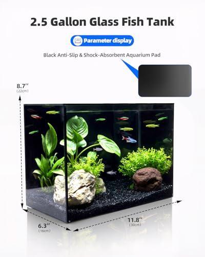 2.5 Gallon Clear Glass Fish Tank, Small Fish Tank Aquarium for Betta, Goldfish, Snail,Shrimp and Aquatic Planting - color: Black, size: 2.5 Gallon