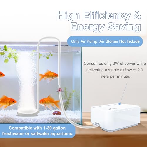 Boxtech Ultra Quiet Aquarium Air Pump, 2W Energy Saving, Low Noise Oxygen Pump for 1-30 Gallon Freshwater and Saltwater Tanks (Only Air Pump) - color: white