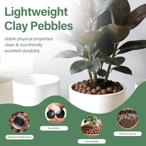 Halatool 8LB Clay Pebbles for Plants 4mm-16mm Lightweight Hydroton Leca Balls for Indoor Potted Plants Hydroponics Gardening Orchids Drainage Decoration Aquaponics - color: 8LB