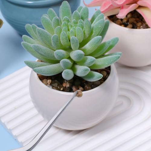 Garden Tweezers, 3 Pcs Stainless Steel Plant Tweezer Set Straight and Curved Precision Tweezers Multipurpose Bonsai Tools for Garden, Kitchen, Indoors and Outdoors (6.22Inch / 6.33Inch / 6.4Inch)