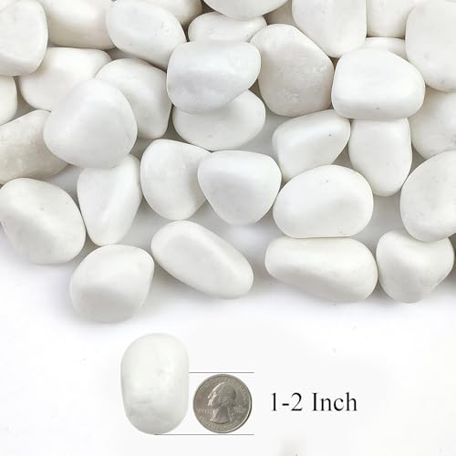 10lbs White Rocks for Landscaping,1-2 Inch Decorative Pebbles for Plants,River Rocks for Backyard,Flower Beds, Indoor Fountains, Paths, Aquarium Vase,Outdoor Garden - color: Natural White, size: 1-2 Inch(10LB)