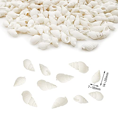 White Clam Cay Cay Sea Shells for Home Decorations, Party Wedding, DIY Crafts (About 350pcs Spiral Shape) - color: About 350pcs spiral shape