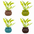 Aquarium Plant Pot Holders, Aquatic Plant Holder, Securely Hold Aquatic Plants, Promoting Healthy Root Growth, Fish Tank Aesthetic (Pack of 4) - color: Pack of 4