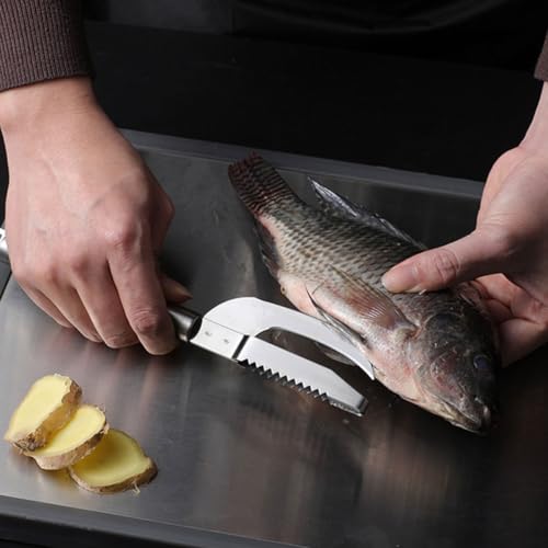 minkissy 2pcs Stainless Steel Fish Scale Remover and Belly Opener Tool Set Multi-use Reusable Seafood Cleaning Kitchen Gadgets for Home Cooking