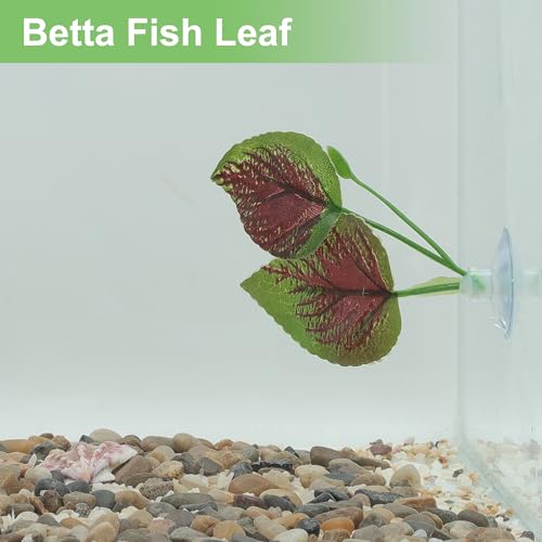 Betta Fish Leaf, Natural Habitat Simulation for Betta Spawnings Grounds, Betta Spawnings Leaves, Resting Bed, Large Small Leaves, Deep Green Brown